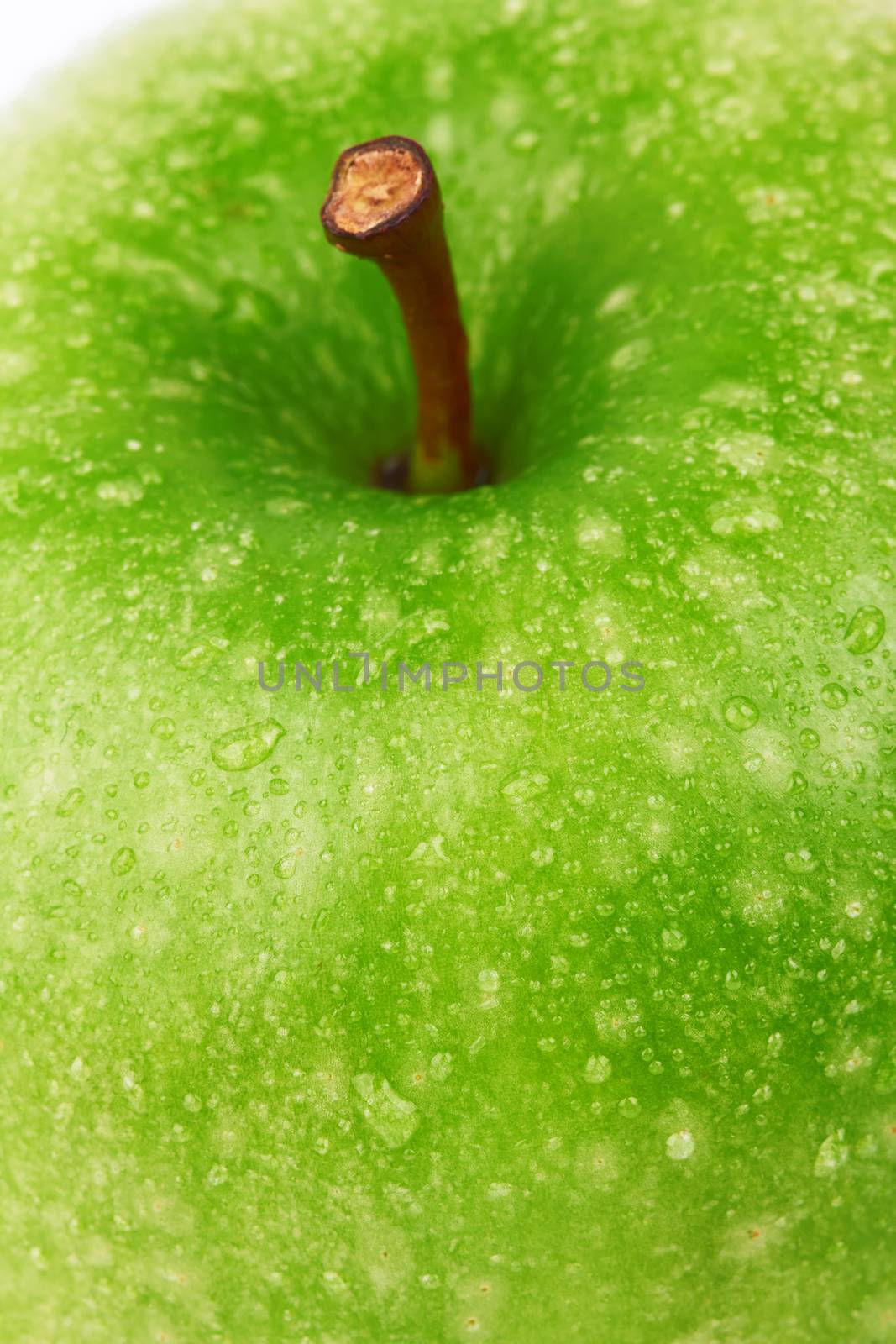 apple by pioneer111