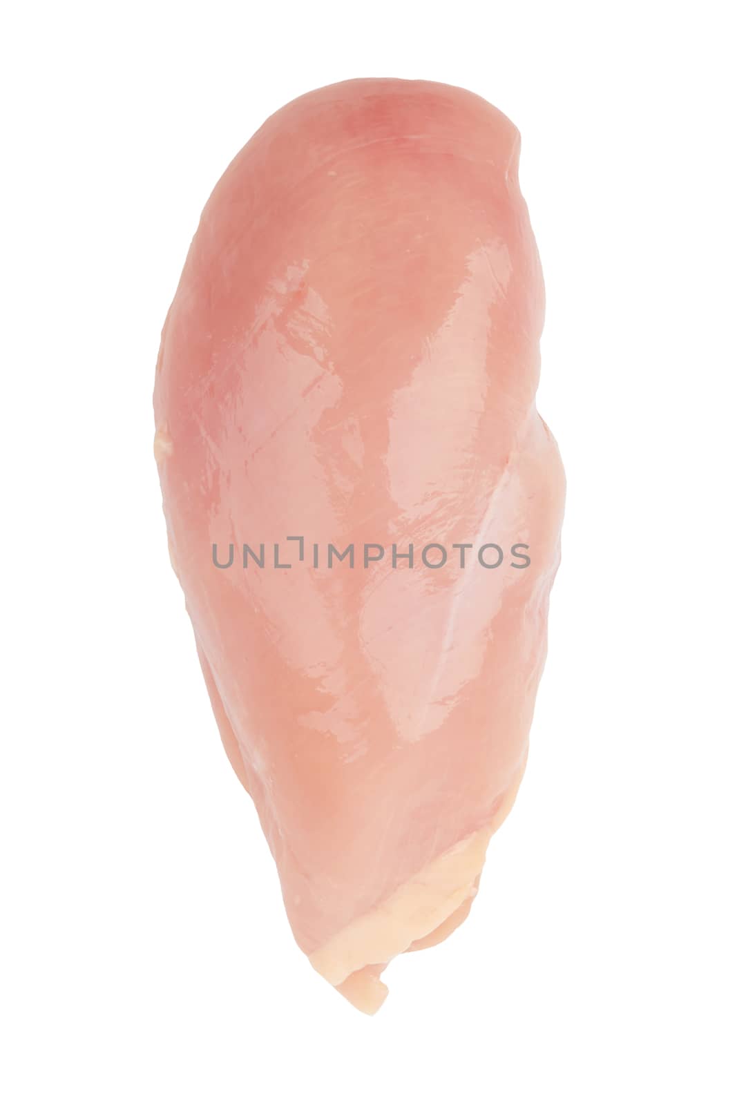 Raw chicken fillet isolated on white background