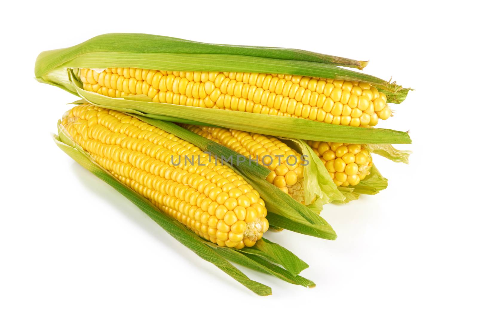 Sweet corn isolated on a white background 