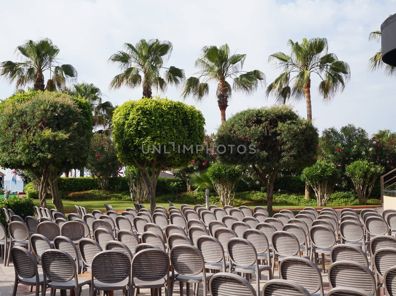 Brown chairs stand in a row in the lap of nature, the concept of a festive ceremony.