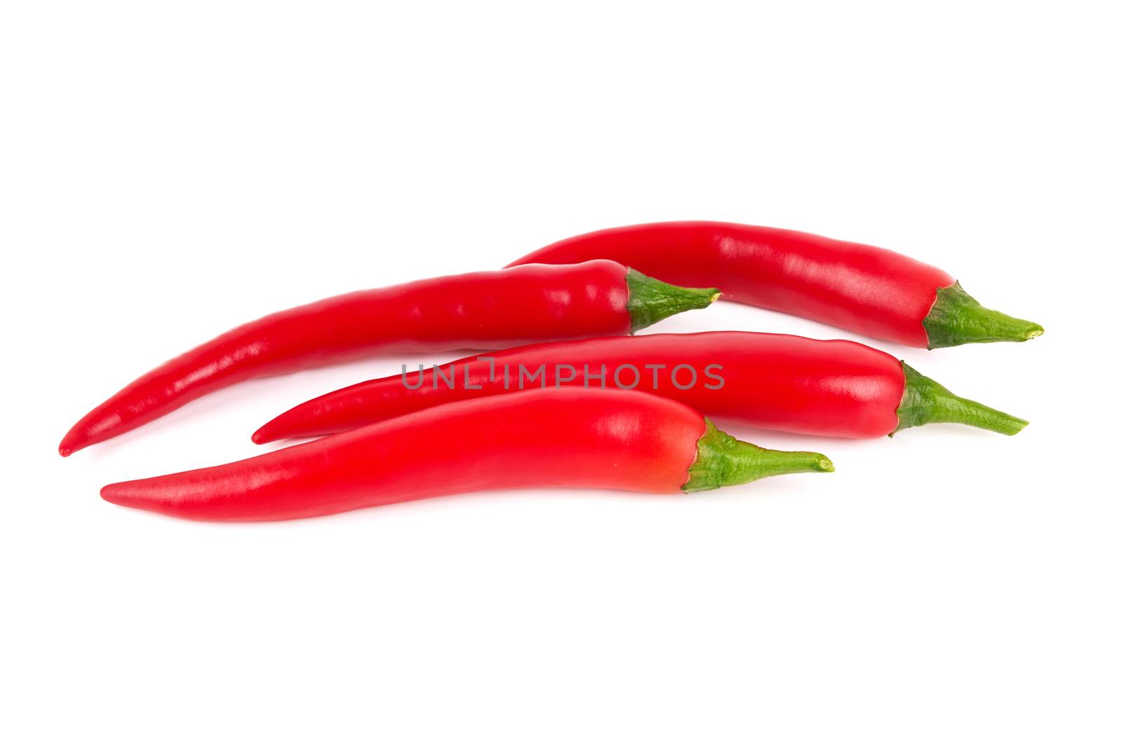 Red chili pepper isolate on white background