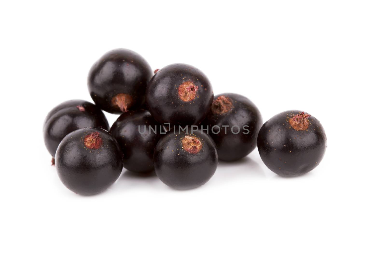 Black ripe currants isolated on the white background 