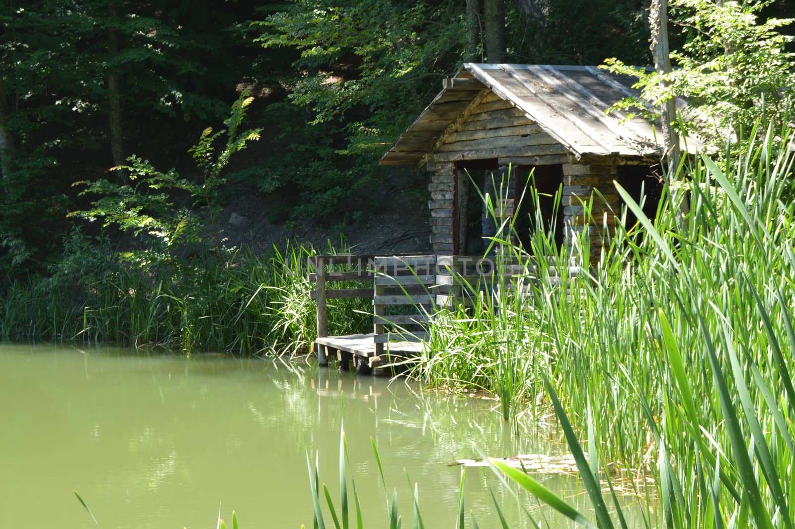Old wooden dark house for waterfowl on the shore of a forest lake in the reserve.