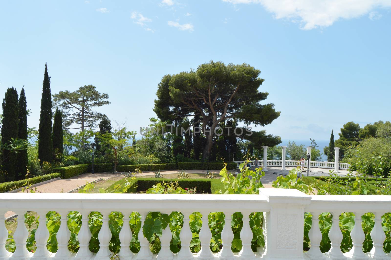Terrace with balustrade and beautiful views of the Park with pine trees, cypress trees and columns on the background of the sea and blue sky on a Sunny summer day.