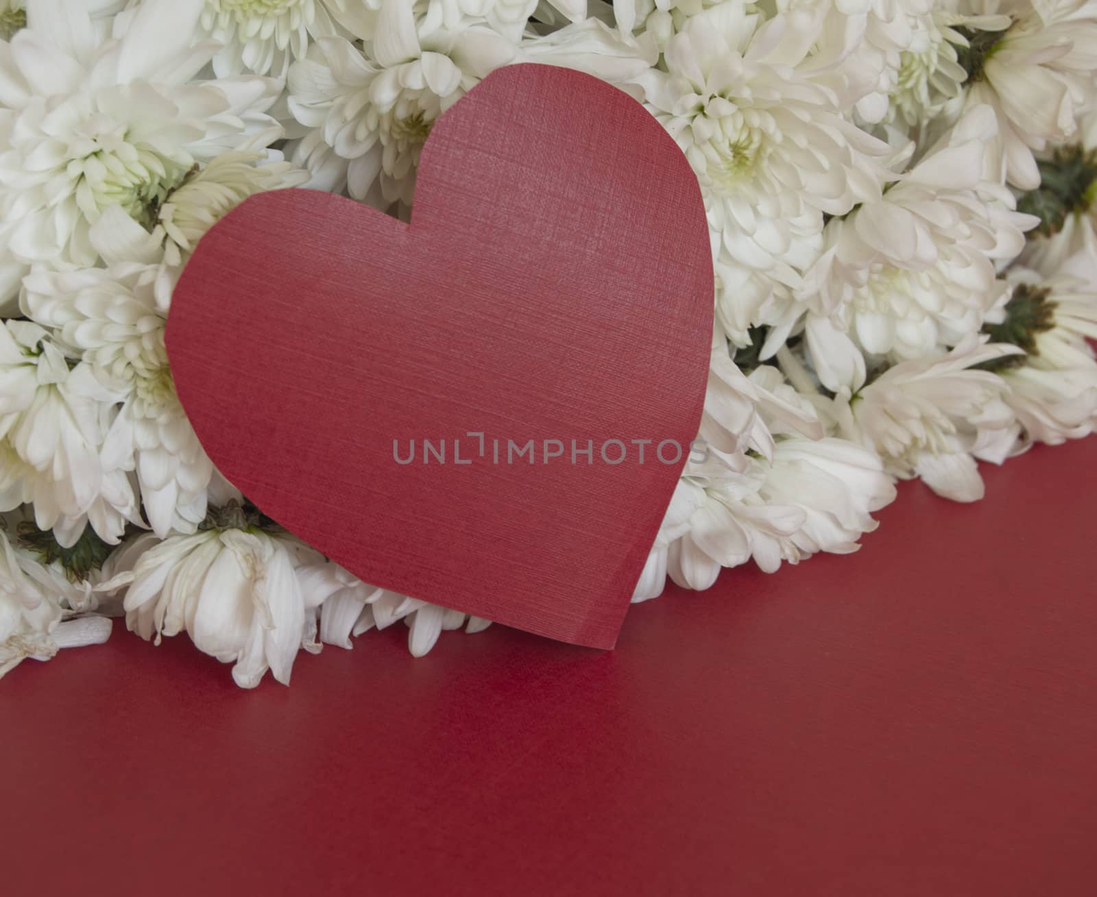 Red hearts with space for text, on a background of white colors. Greeting concept for Valentine's day, mother's Day, women's day, wedding by claire_lucia