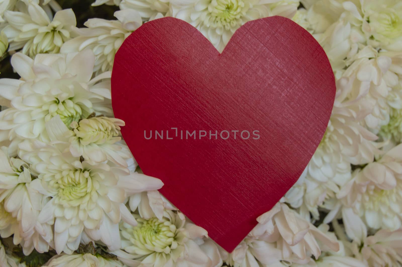 Red hearts with space for text, on a background of white colors. Greeting concept for Valentine's day, mother's Day, women's day, wedding.