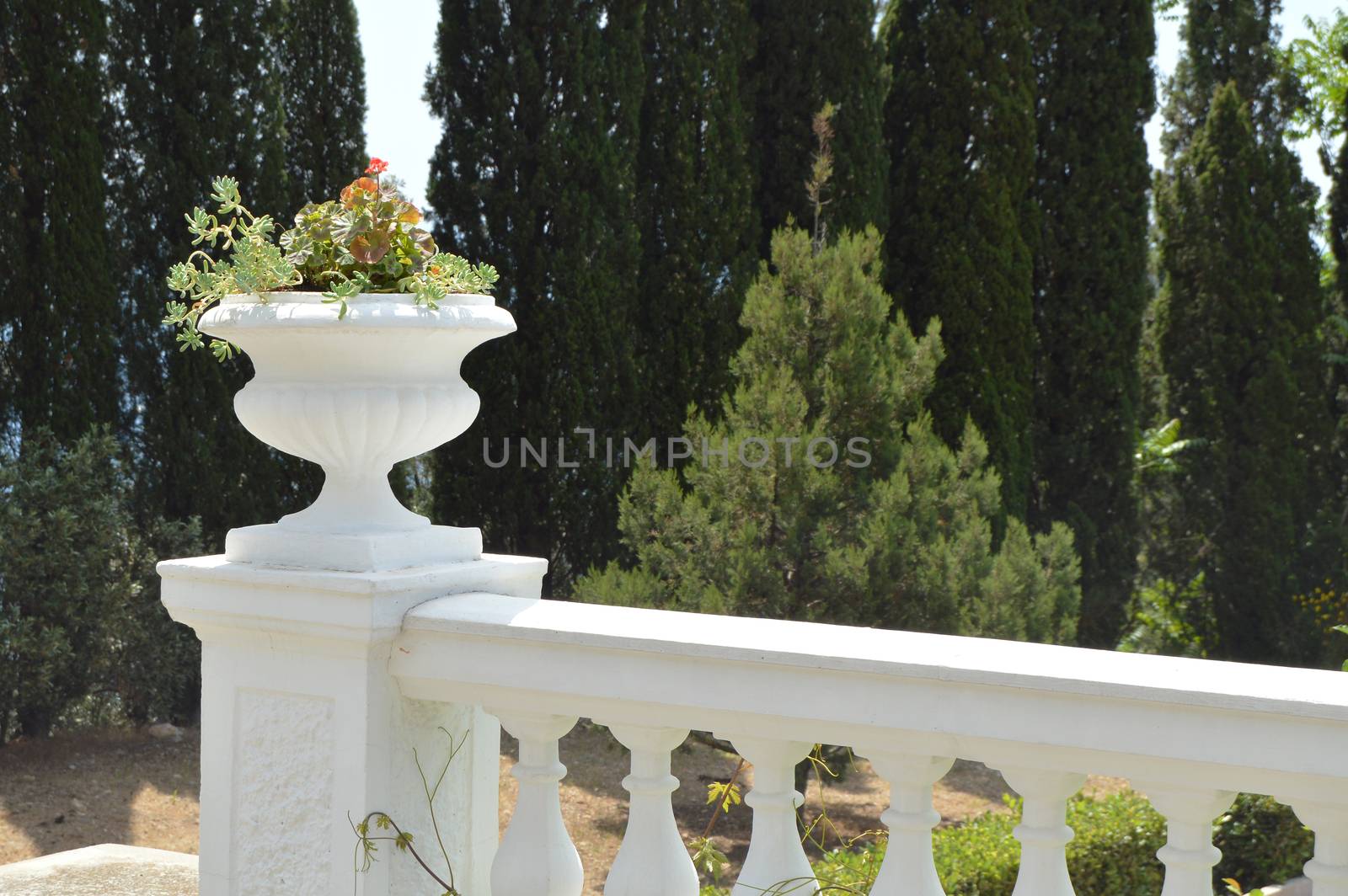 Close - up of balustrade with flower pot in Park on trees background by claire_lucia