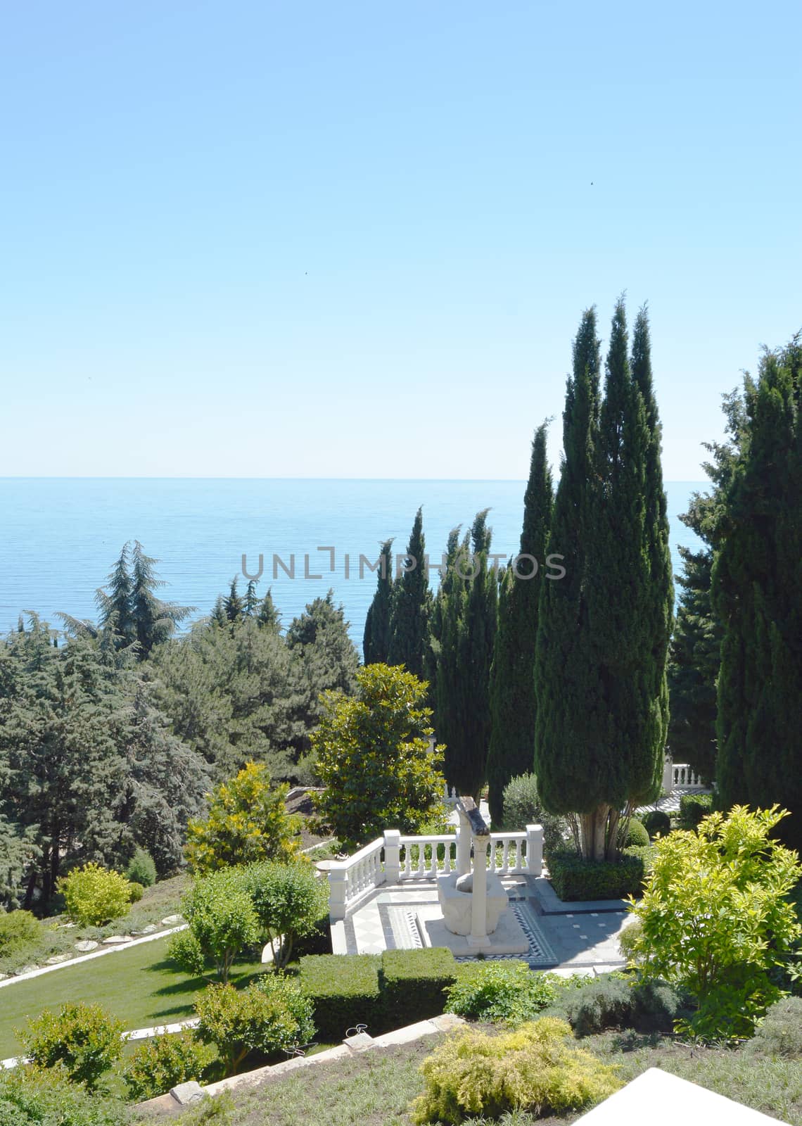 Top view of the sea and the tops of cypresses in the Park on a Sunny day.