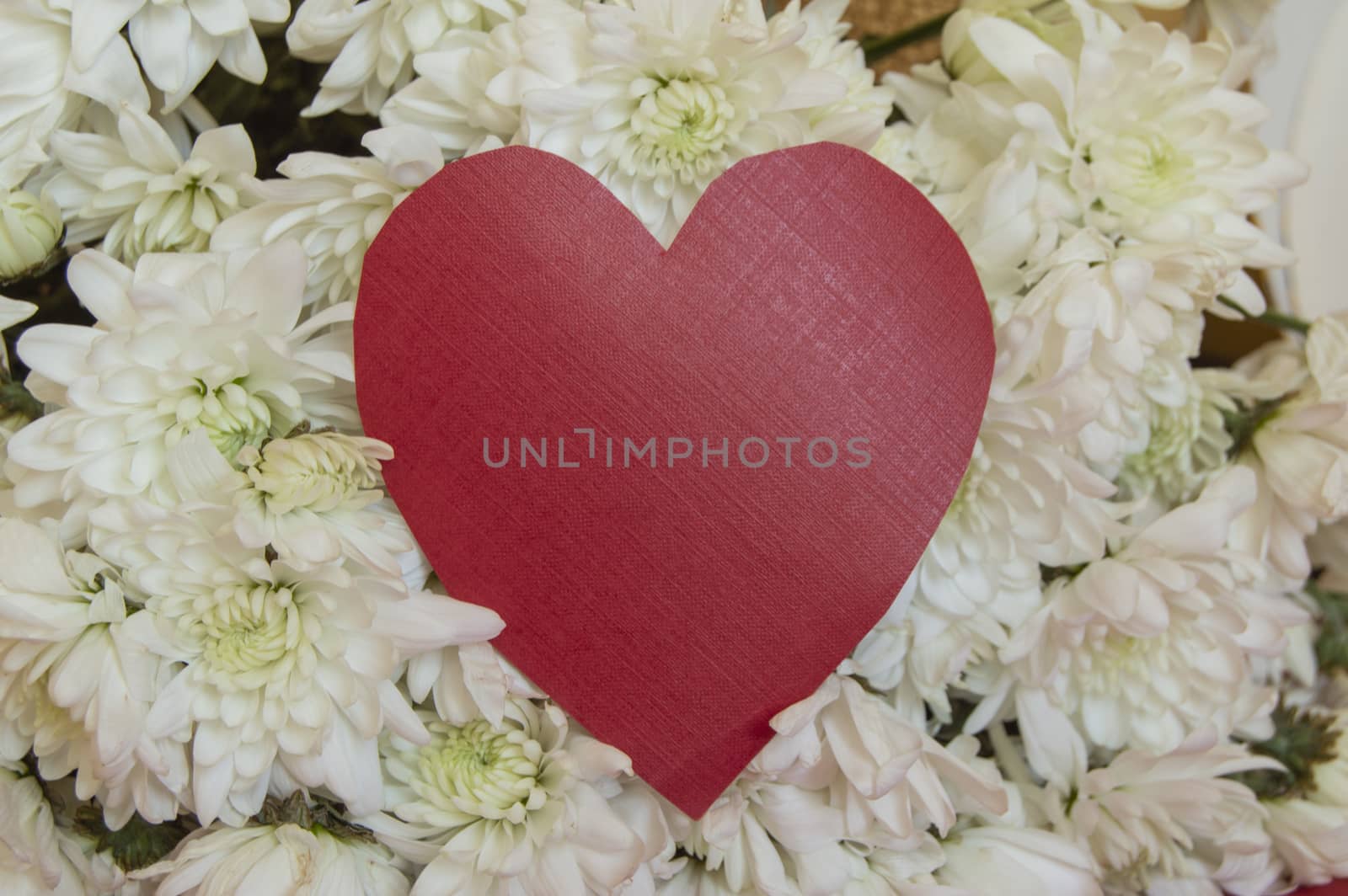 Red hearts with space for text, on a background of white colors. Greeting concept for Valentine's day, mother's Day, women's day, wedding by claire_lucia