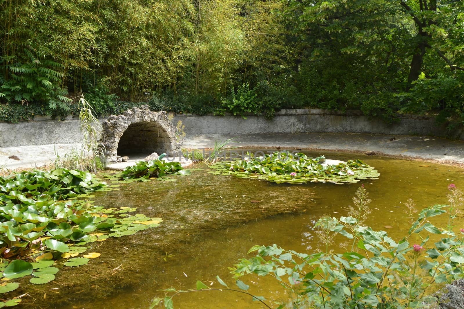 ond overgrown with water lilies with figures of turtles and birds.