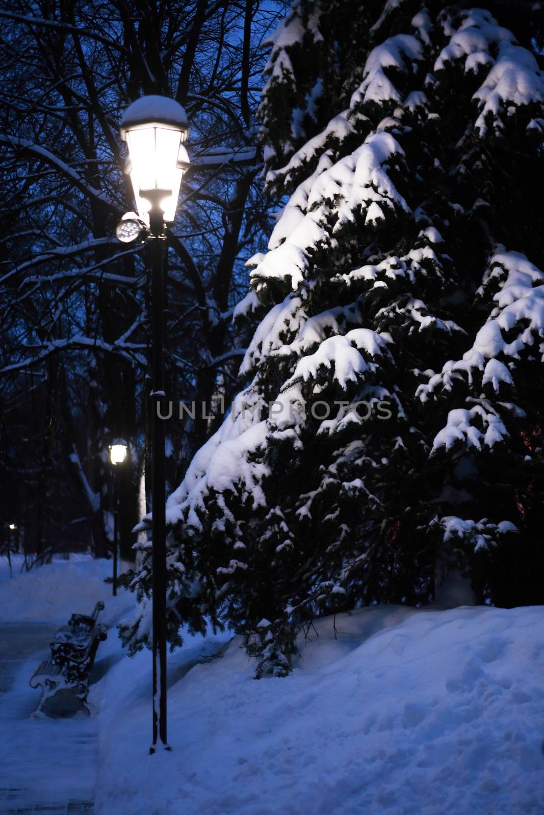 Glowing street lamp near fir tree under snow in a park
