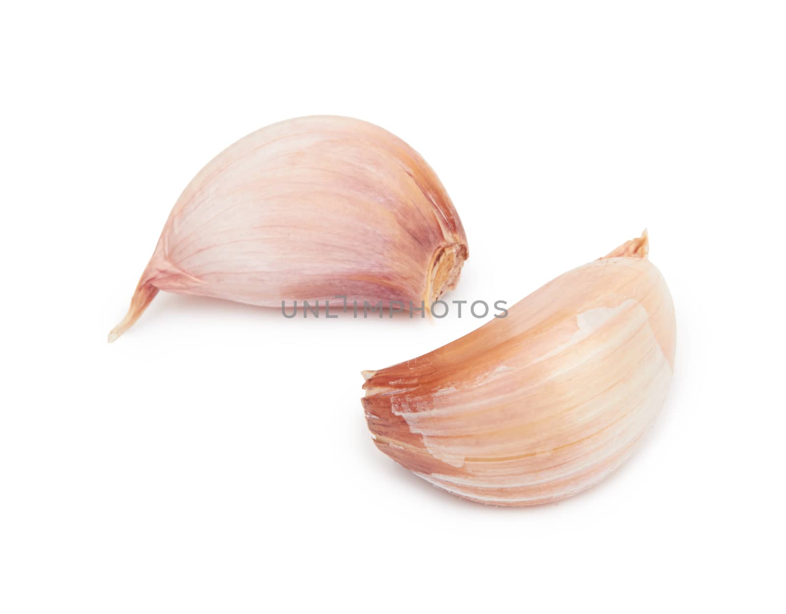 Fresh garlic isolated on a white background