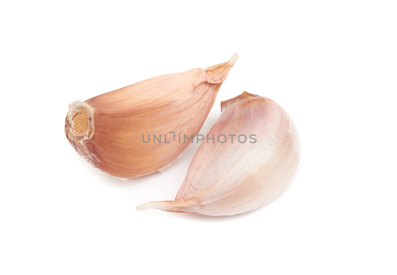 Fresh garlic on white by pioneer111