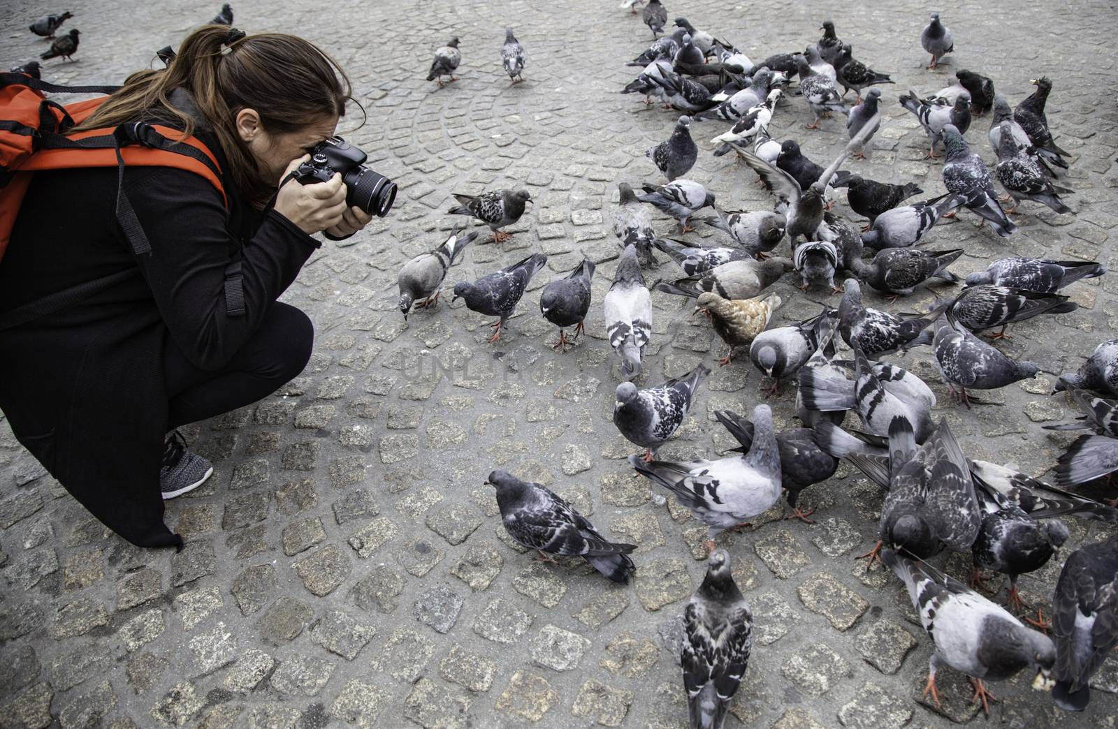 Feeding the pigeons, detail of a woman photographing the birds