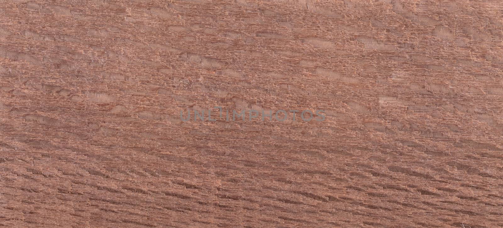 Wood background - Wood from the tropical rainforest - Suriname - Poraqueiba guianensis