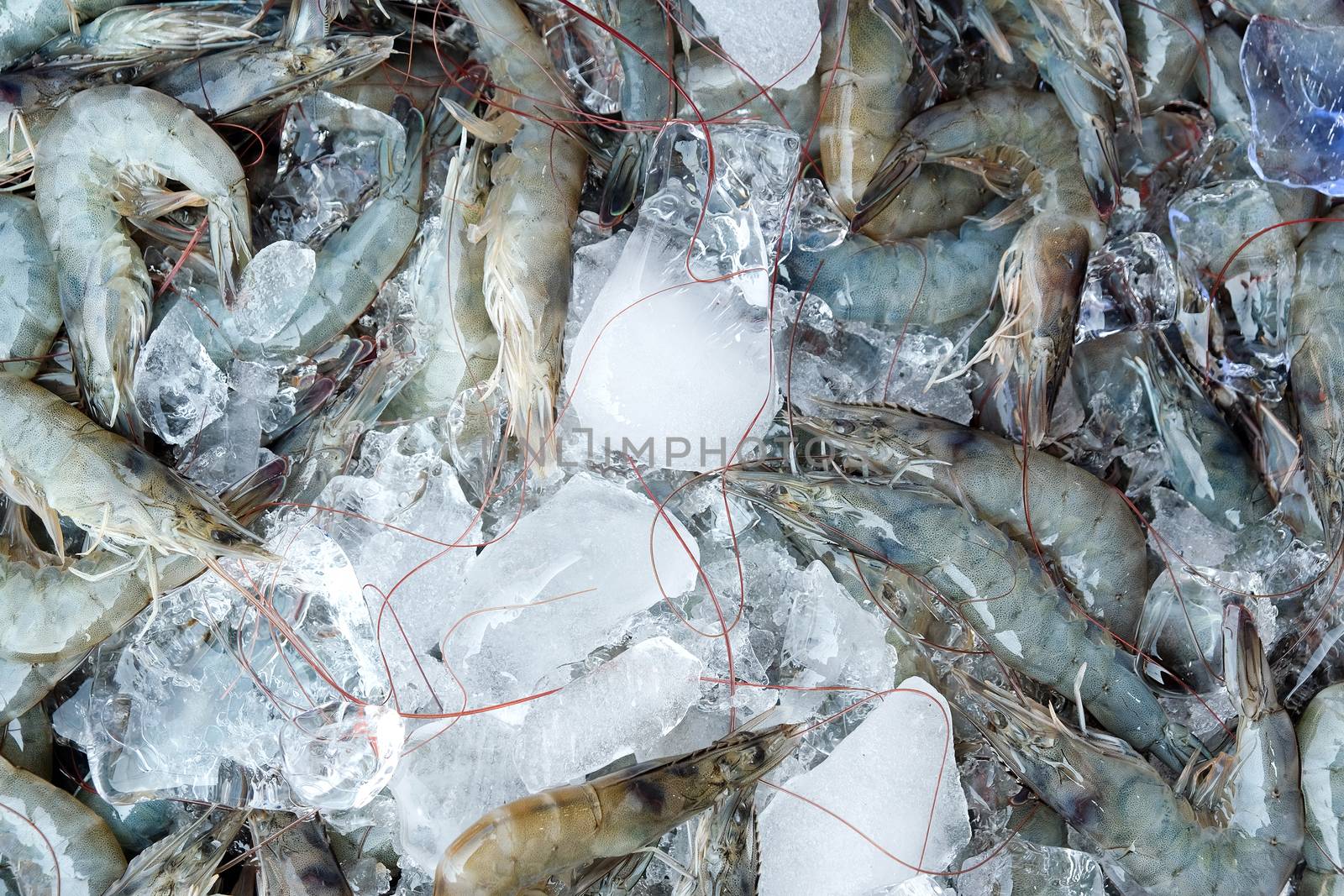 Close up image of Fresh shrimp