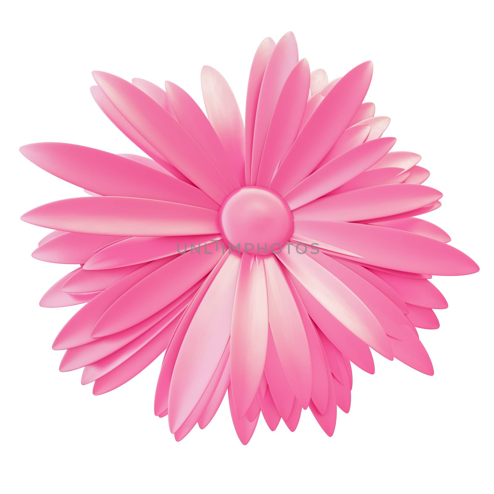 Light Pink Flower isolated on white background. 3d illustration