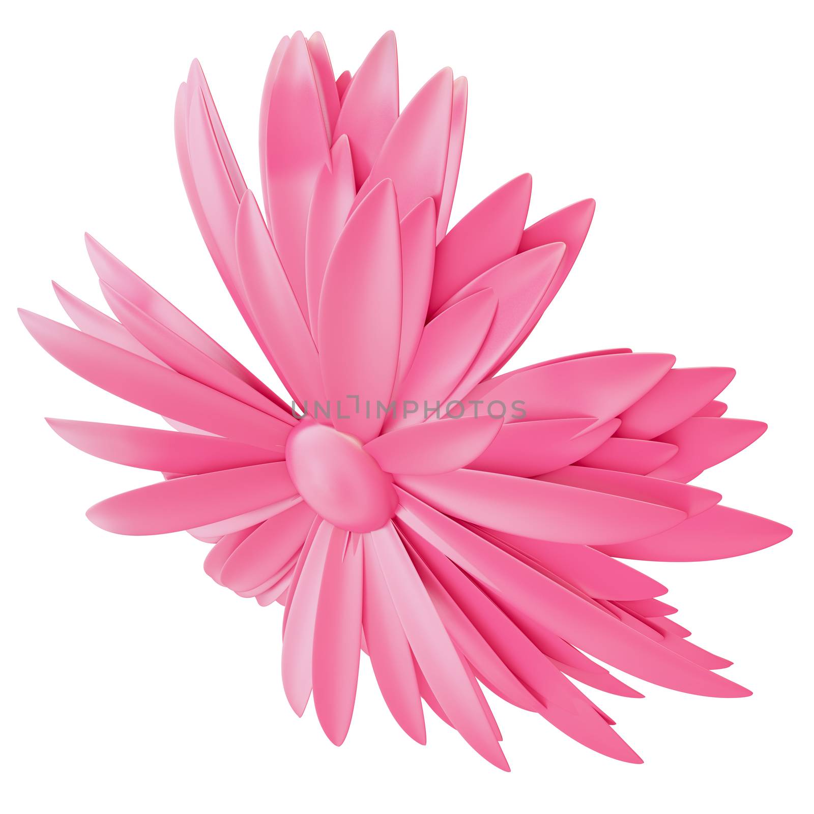 Light Pink Flower isolated on white background. 3d illustration