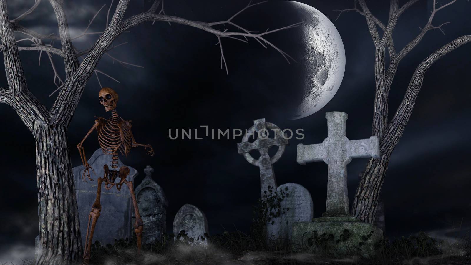 Skeleton in a spooky cemetery by ankarb