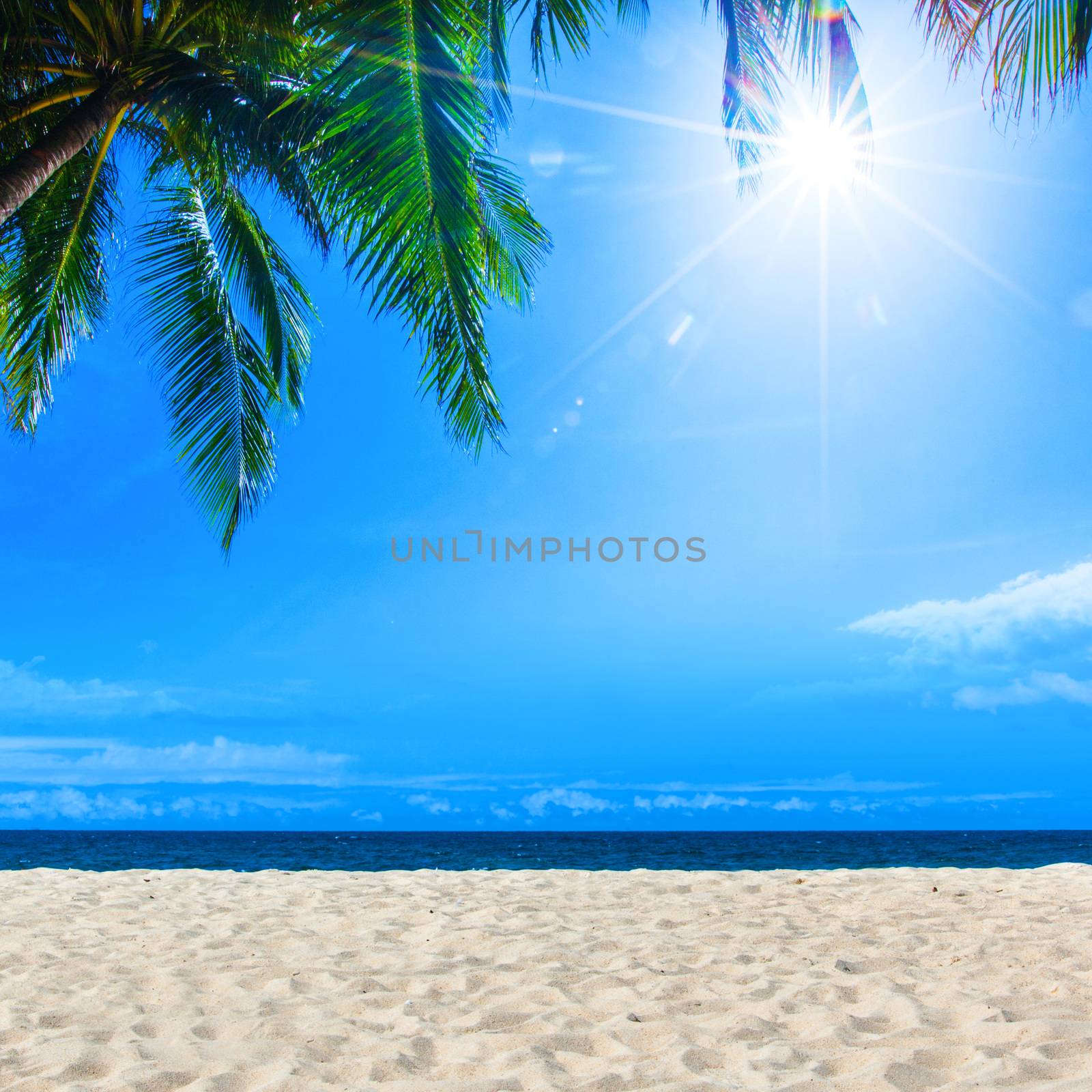 Palm on tropical beach sea and blue sky with sun on background , copy space for text