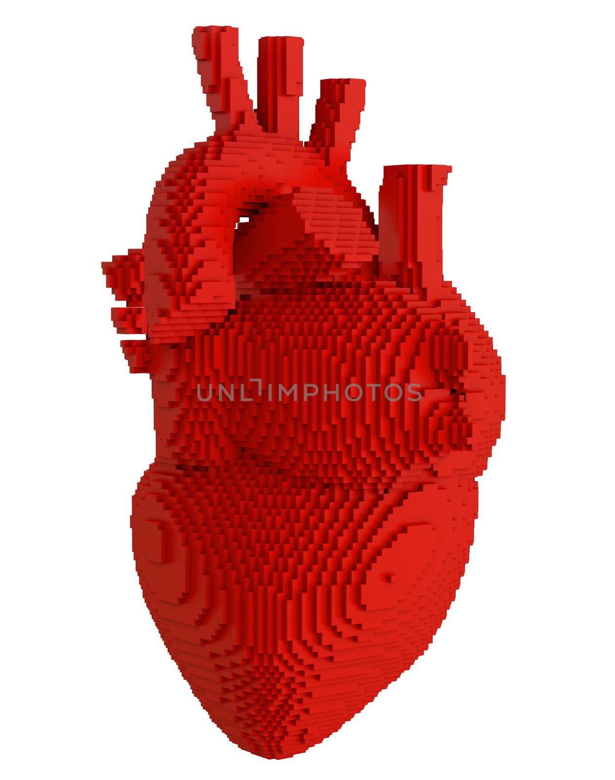 3d printed heart isolated by cherezoff