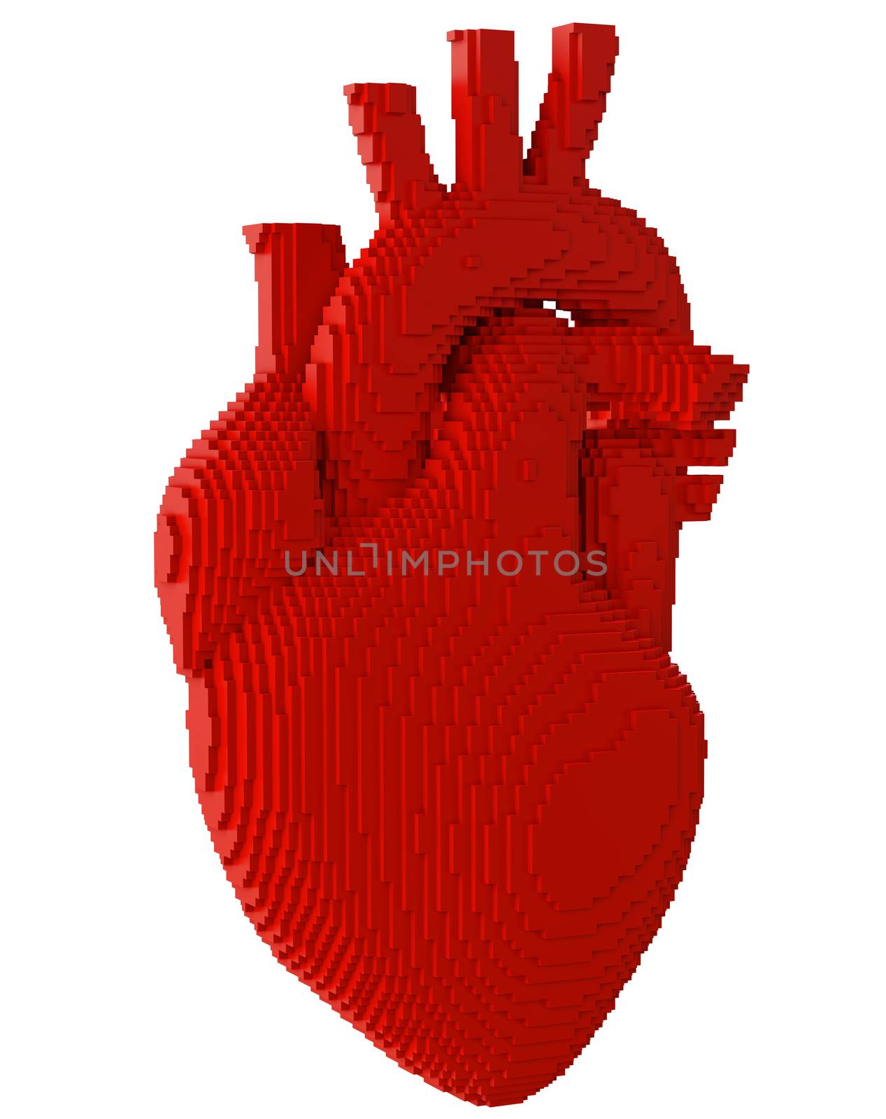 3d printed heart isolated by cherezoff