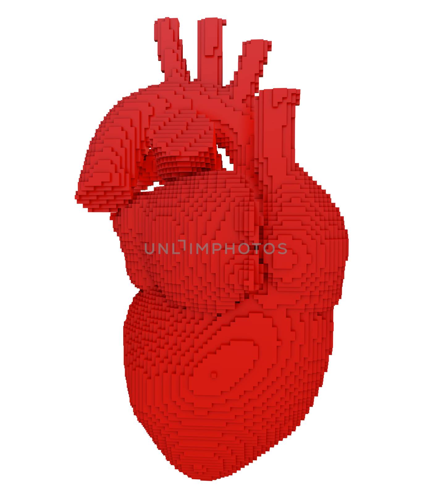 3d printed heart isolated by cherezoff