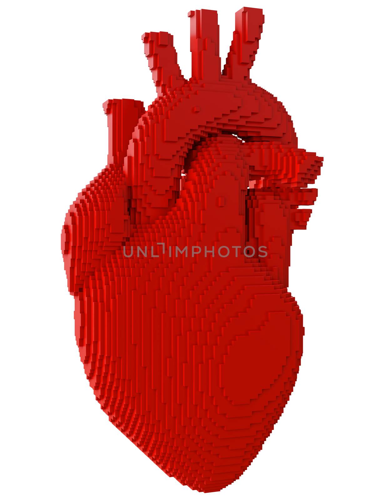 3d printed heart isolated on white background. Concept 3d printing of internal organs. 3D illsutration