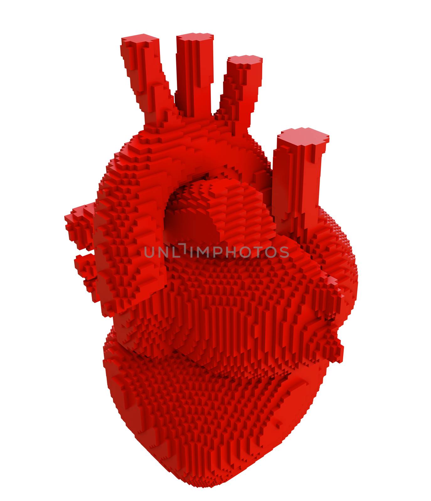 3d printed heart isolated on white background. Concept 3d printing of internal organs. 3D illsutration