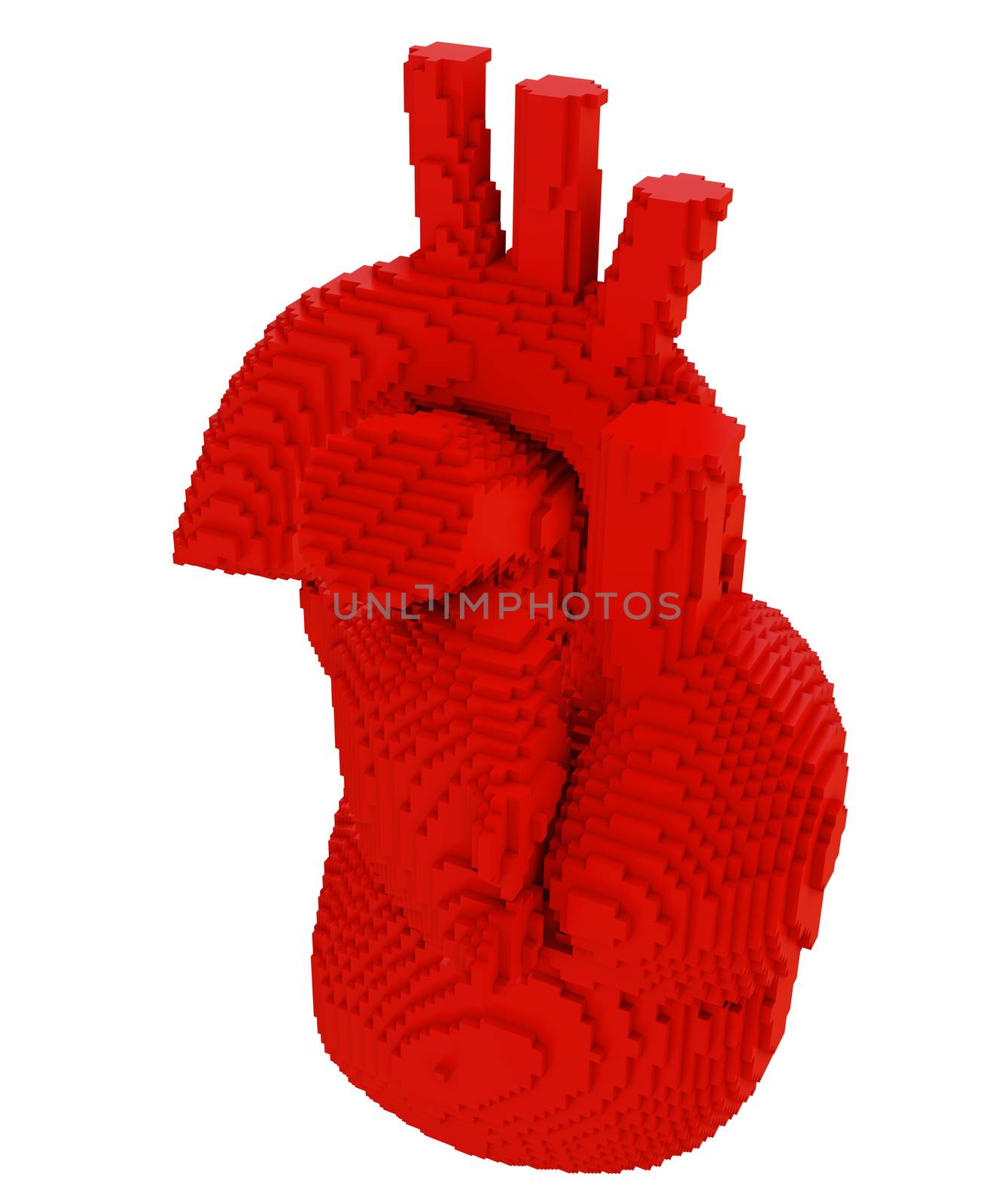 3d printed heart isolated by cherezoff