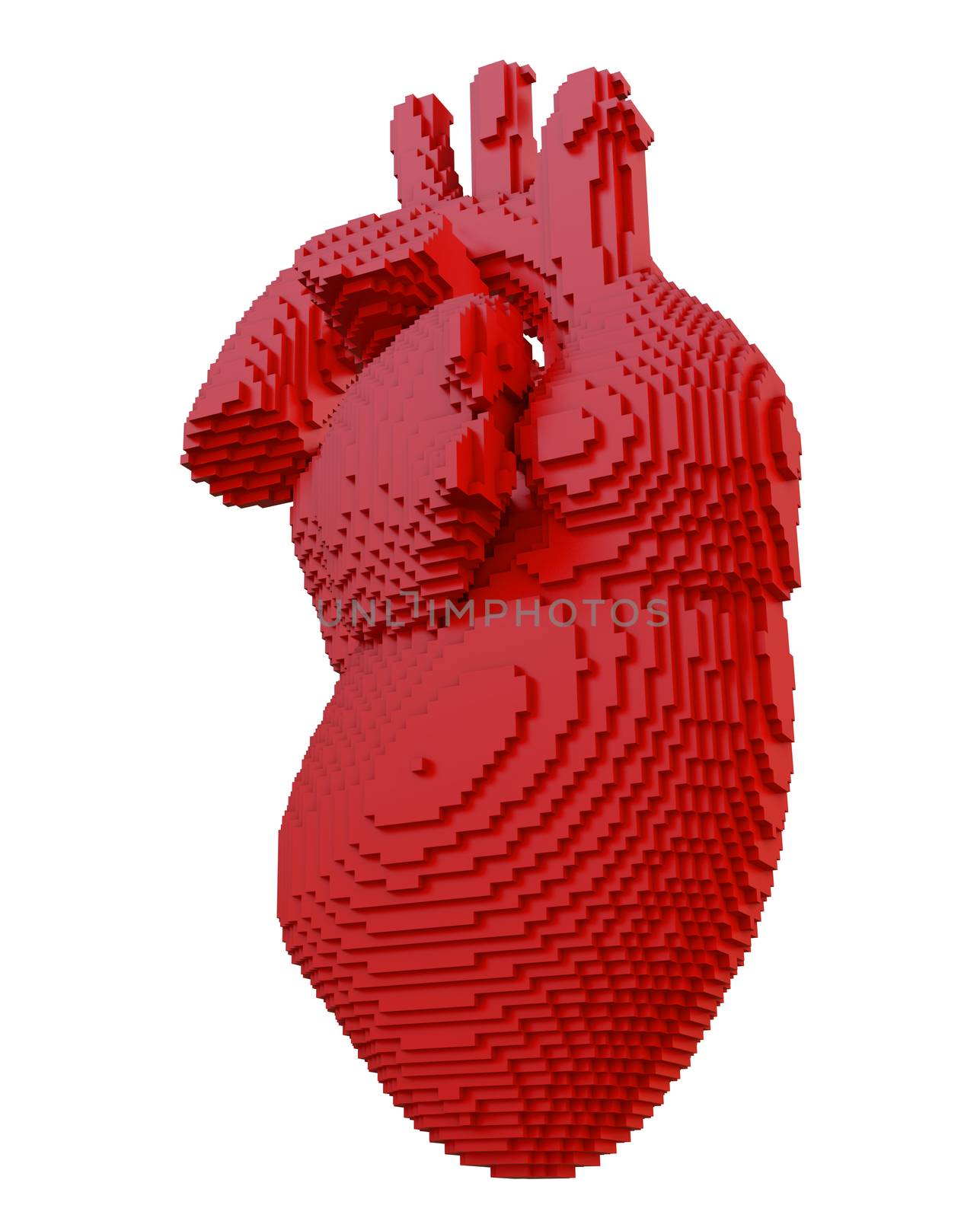 3d printed heart isolated on white background. Concept 3d printing of internal organs. 3D illsutration