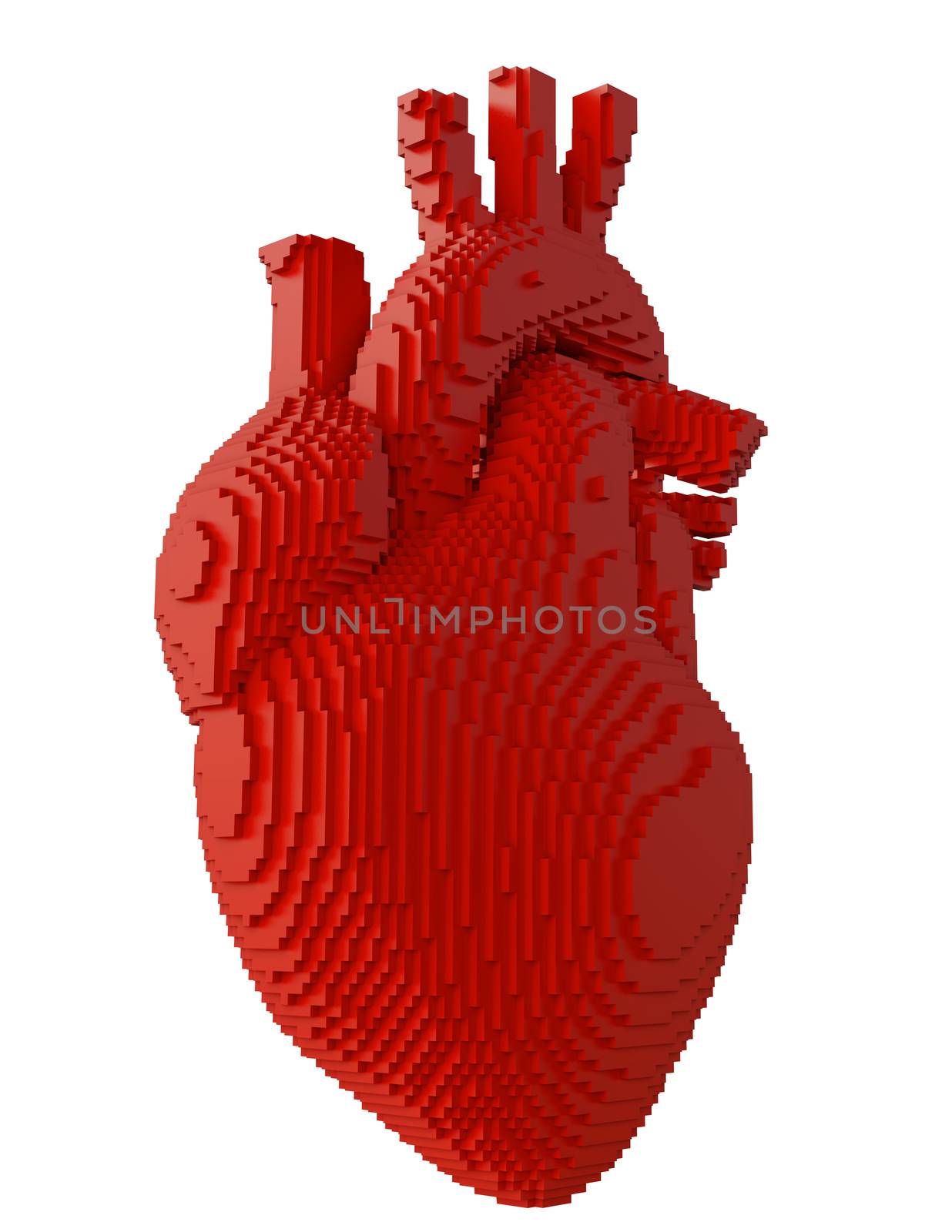 3d printed heart isolated by cherezoff