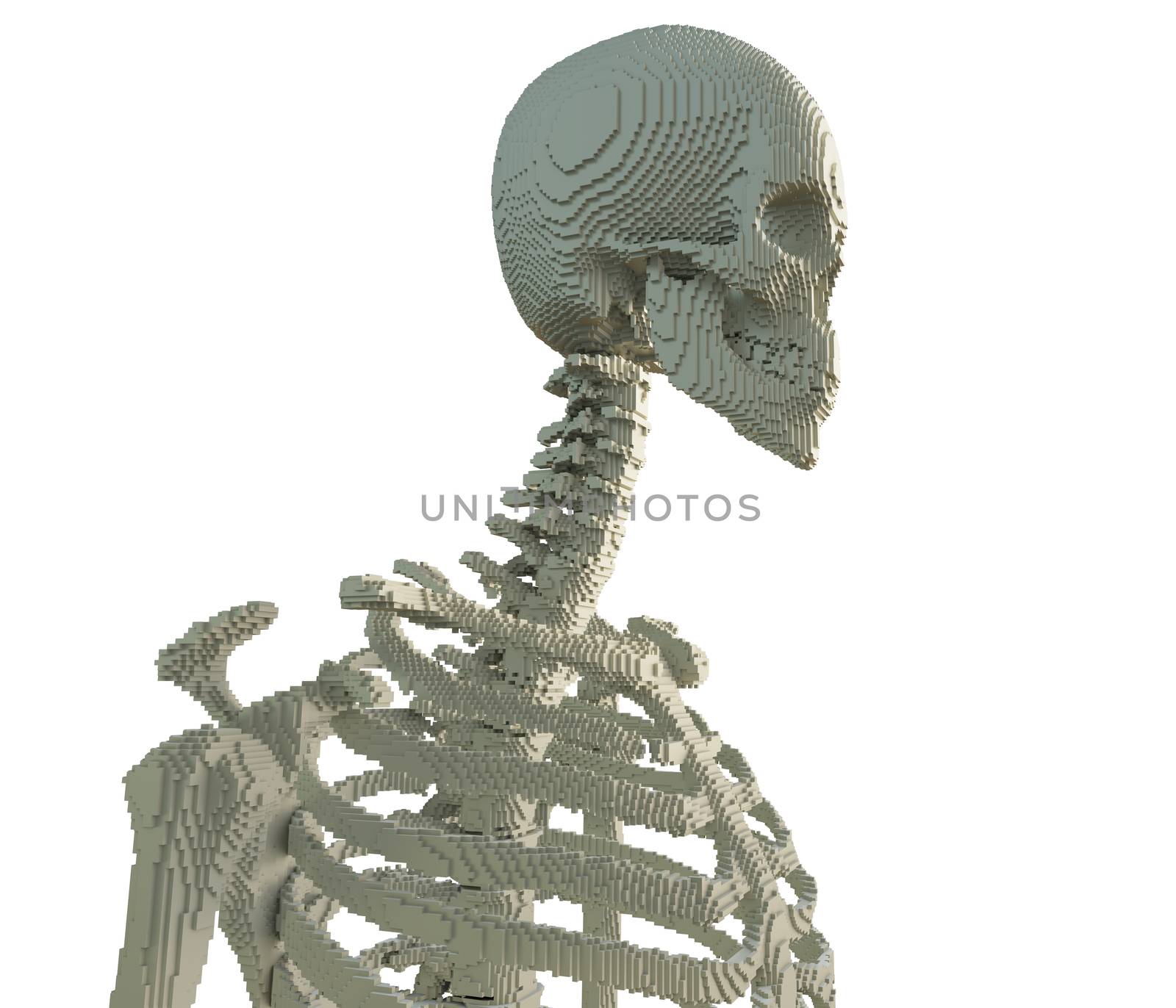 3d printed skeleton isolated by cherezoff