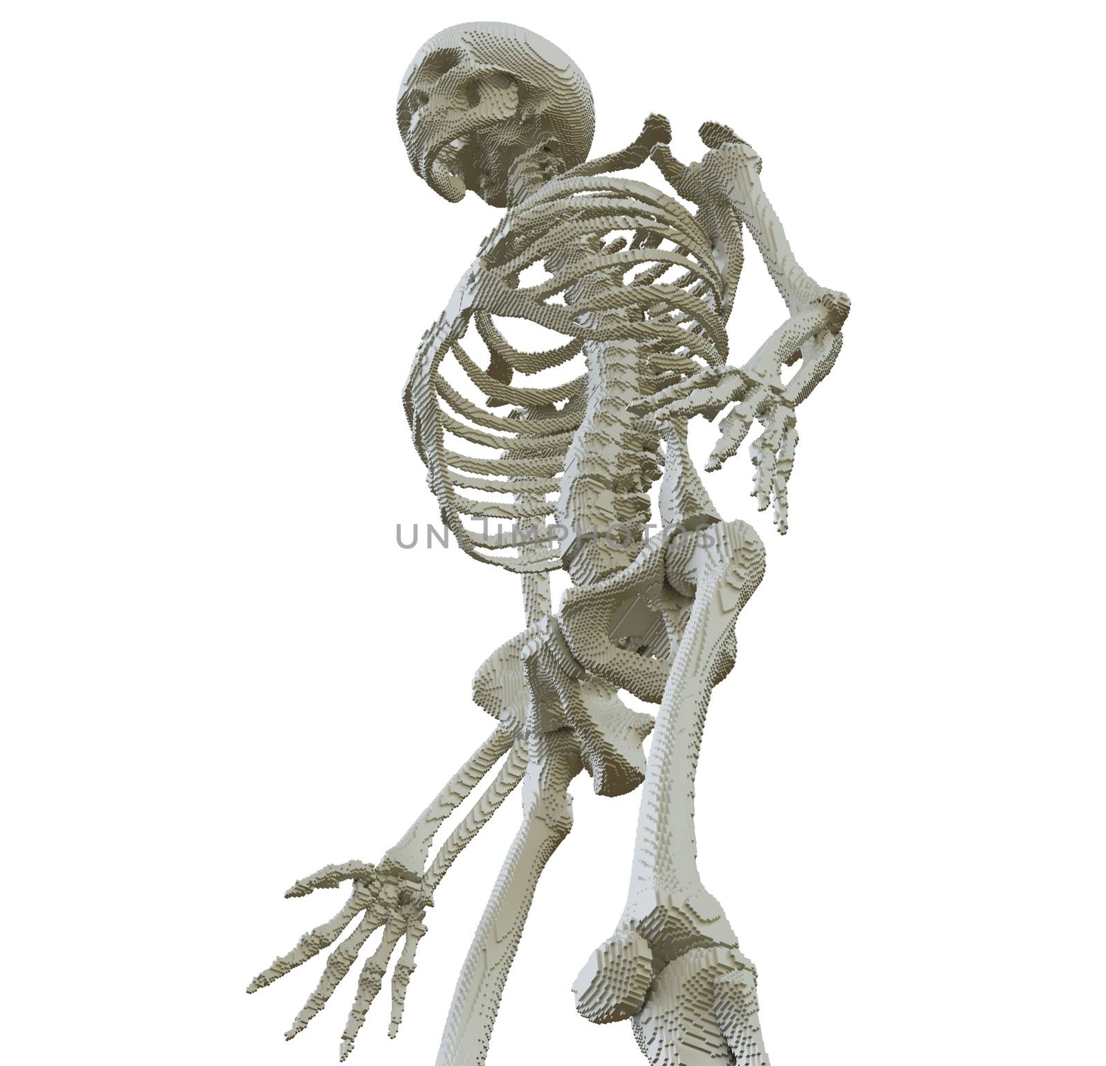 3d printed skeleton isolated on white background. 3D illustration