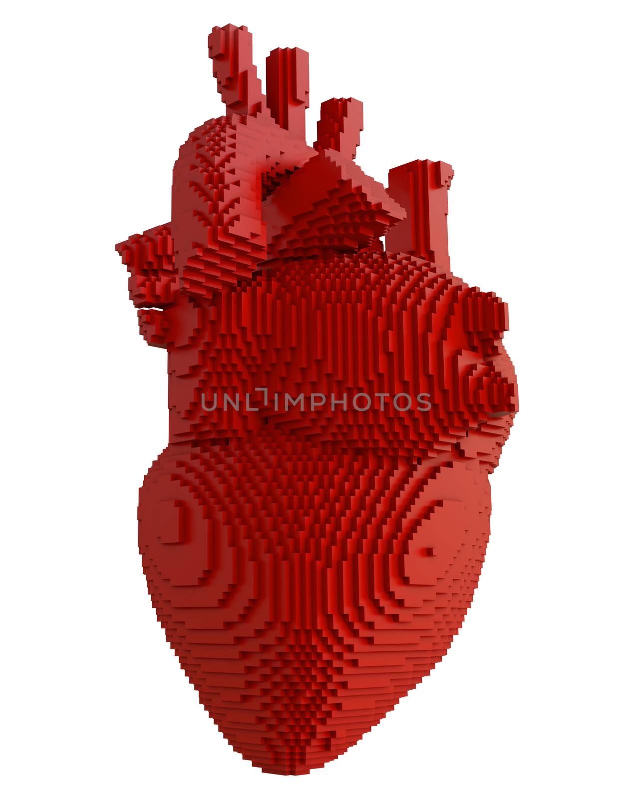 3d printed heart isolated on white background. Concept 3d printing of internal organs. 3D illsutration