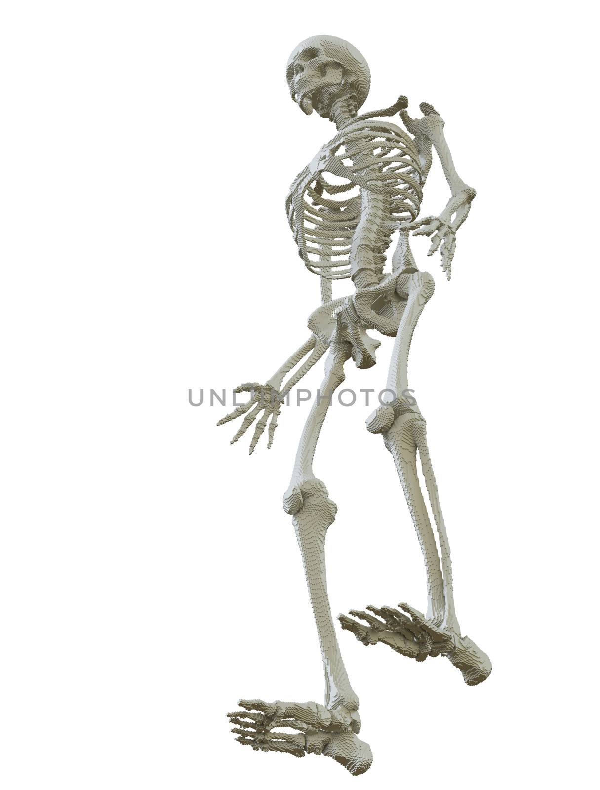 3d printed skeleton isolated on white background. 3D illustration