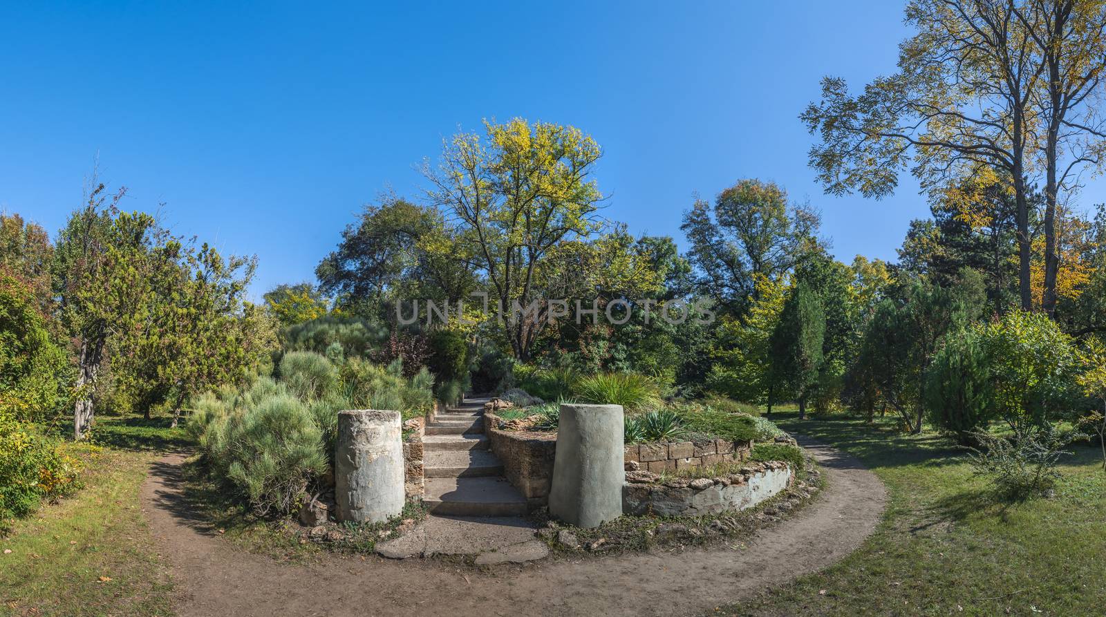 Old abandoned flowerbed in a botanical garden in Odessa, Ukraine on a sunny autumn day