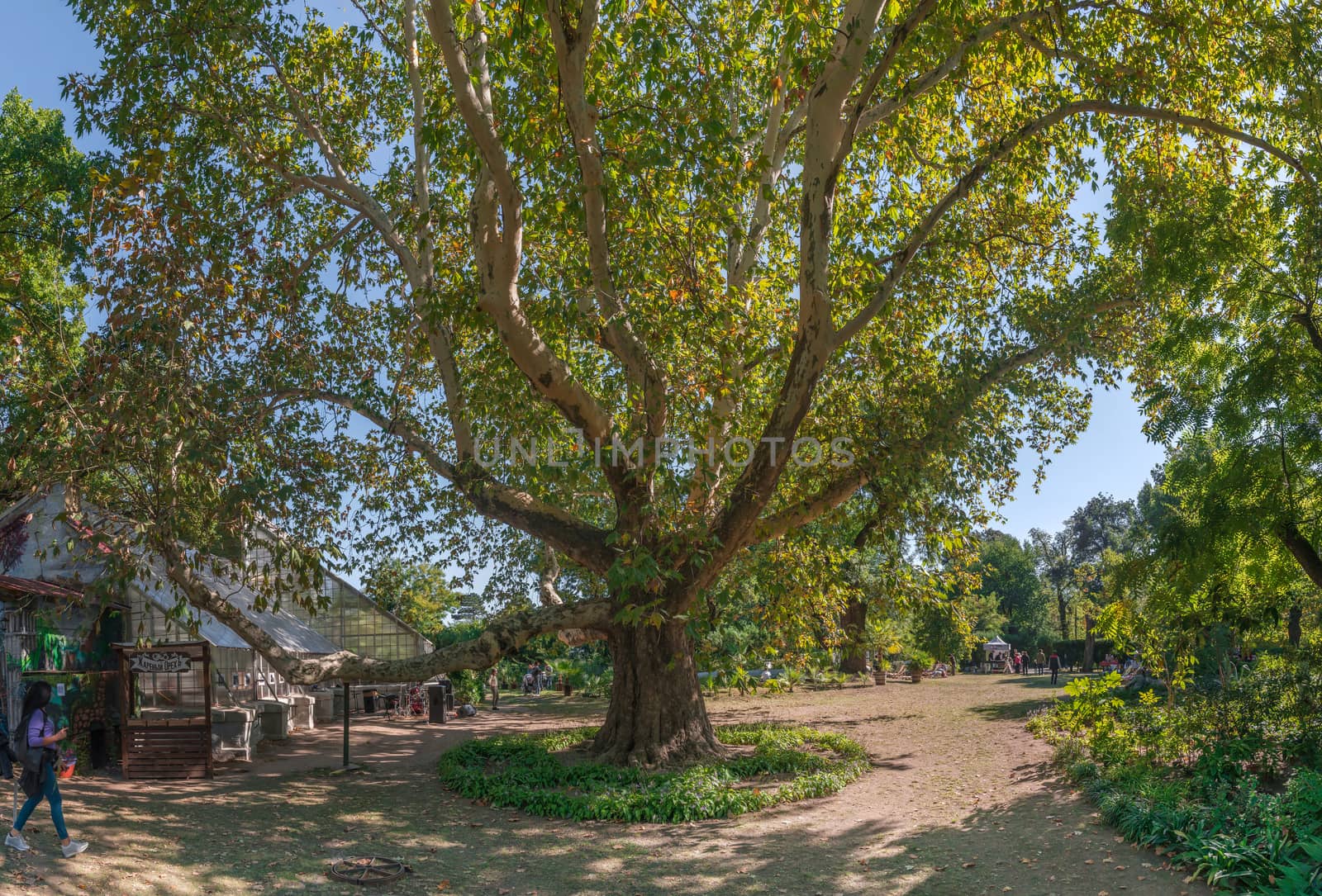 Corner of the old botanical garden by Multipedia