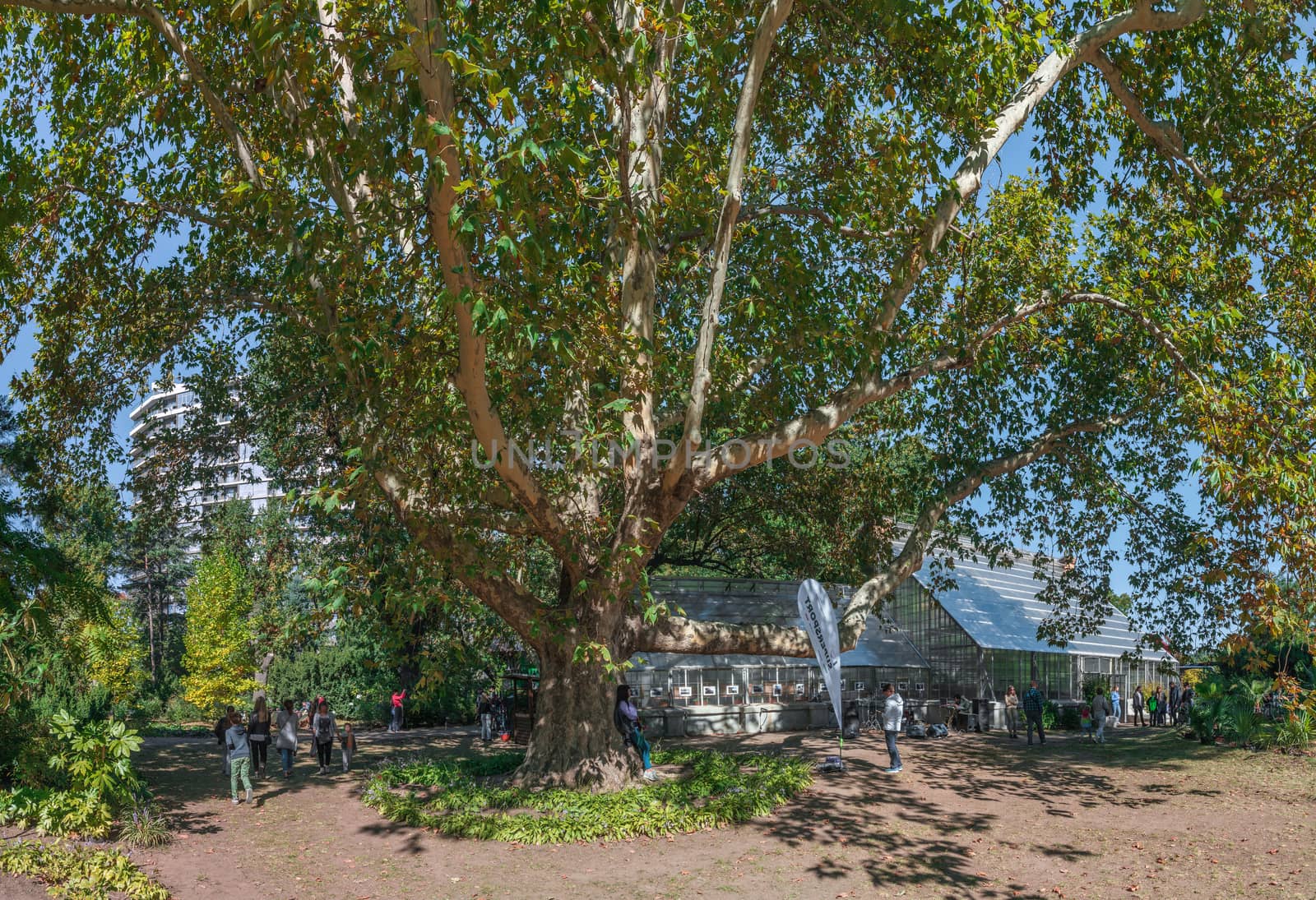 Odessa, Ukraine - 11-10-2018. Green Corner of the old botanical garden in Odessa, Ukraine, on a sunny autumn day