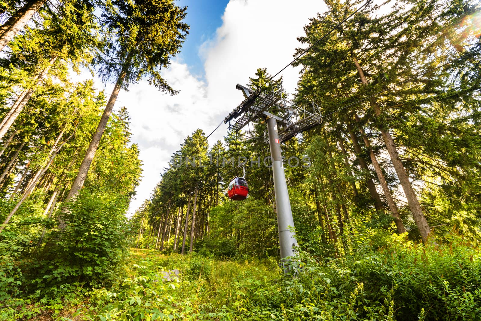 Mountain lift going up in a green forest in the summer sun