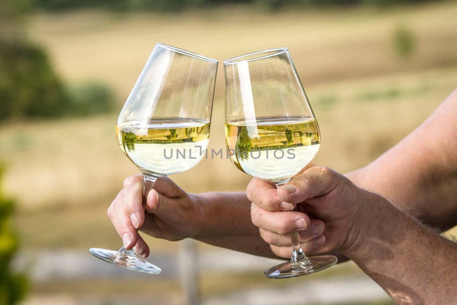 Wine glasses with reflections of beautiful nature saying cheers with white wine