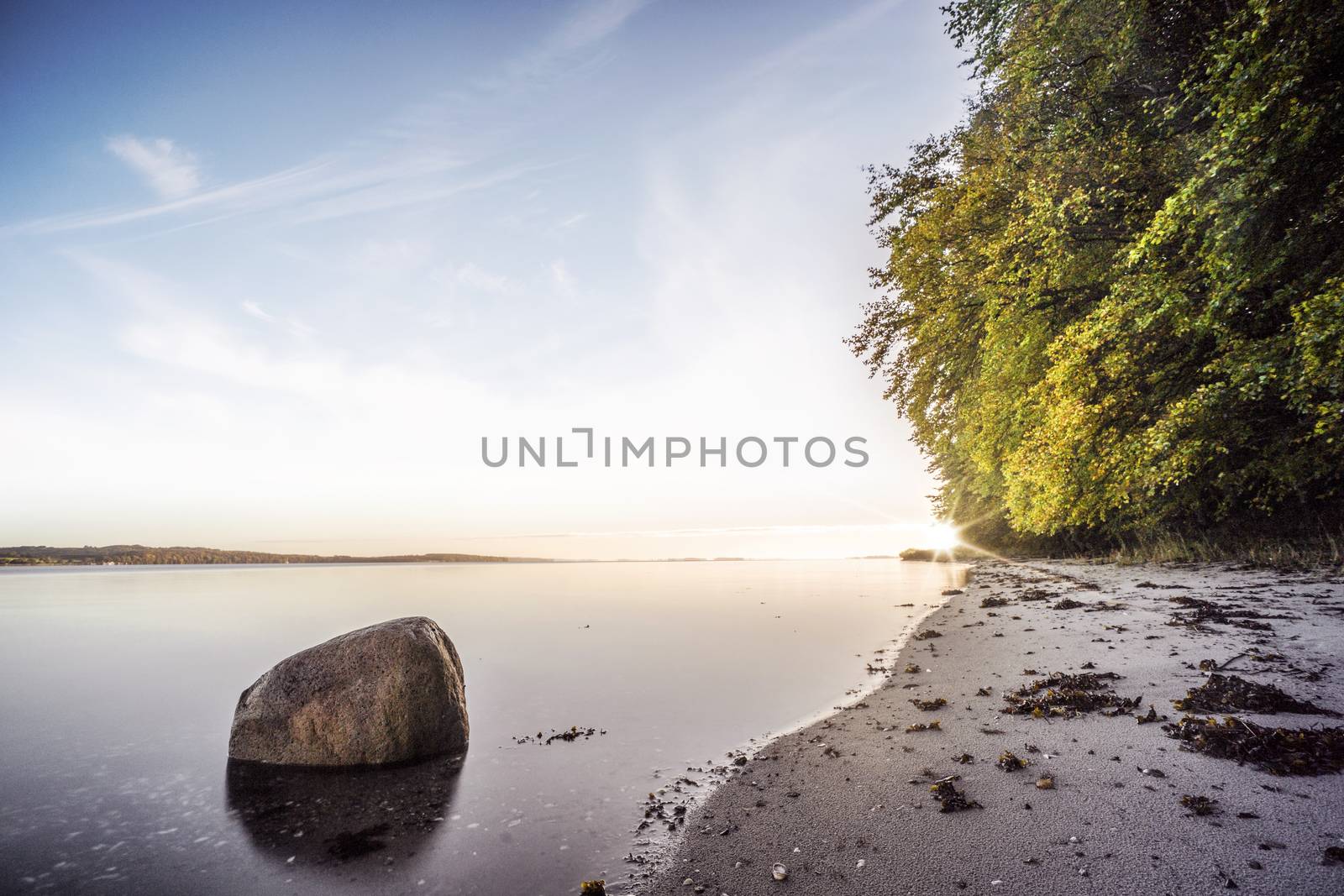 Rock in the calm water on a nordic beach with green trees