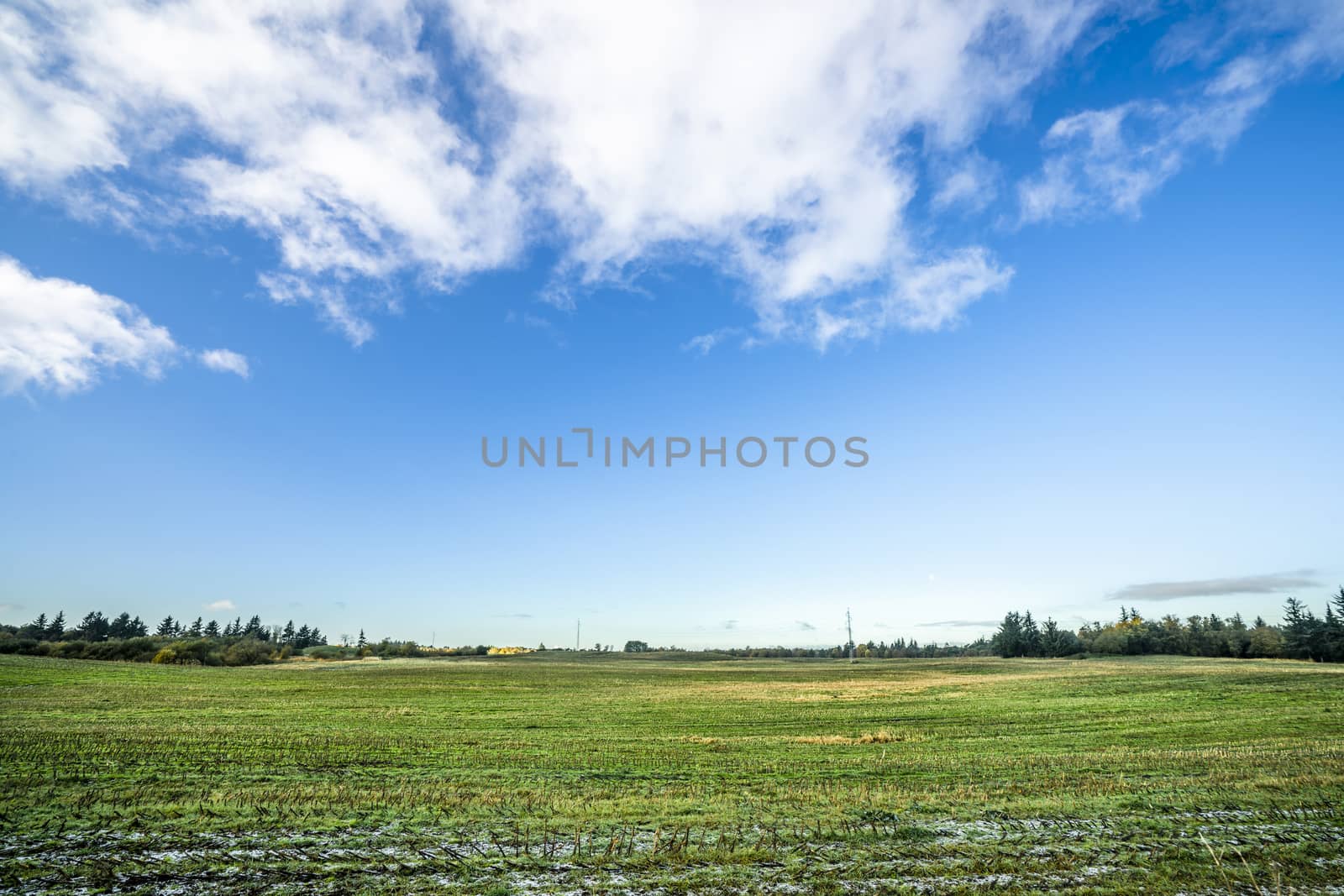 Landscape with frozen green field in the fall under a blue sky in bright daylight