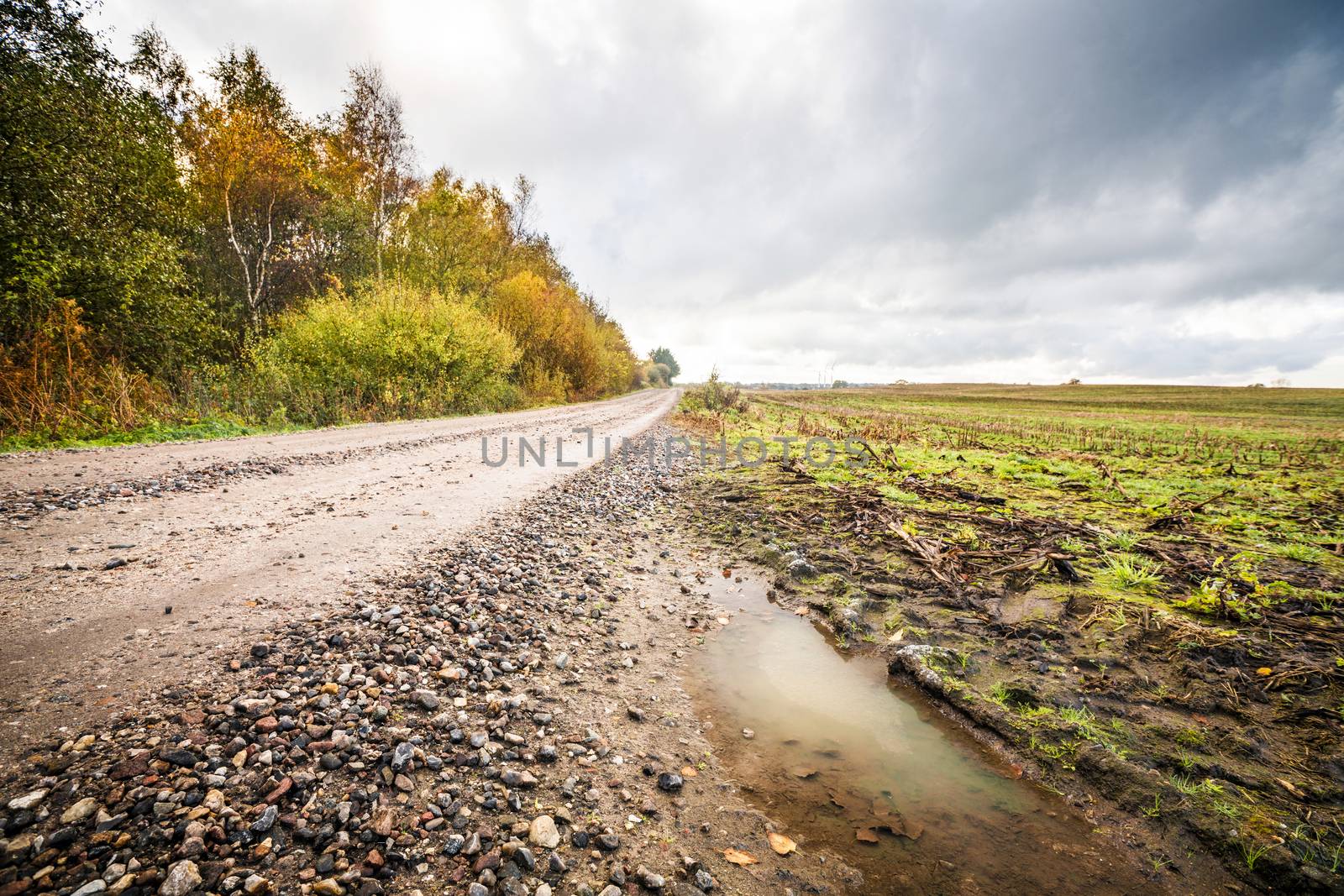Puddle by a dirt road with small pebbles in the fall with trees in beautiful autumn colors