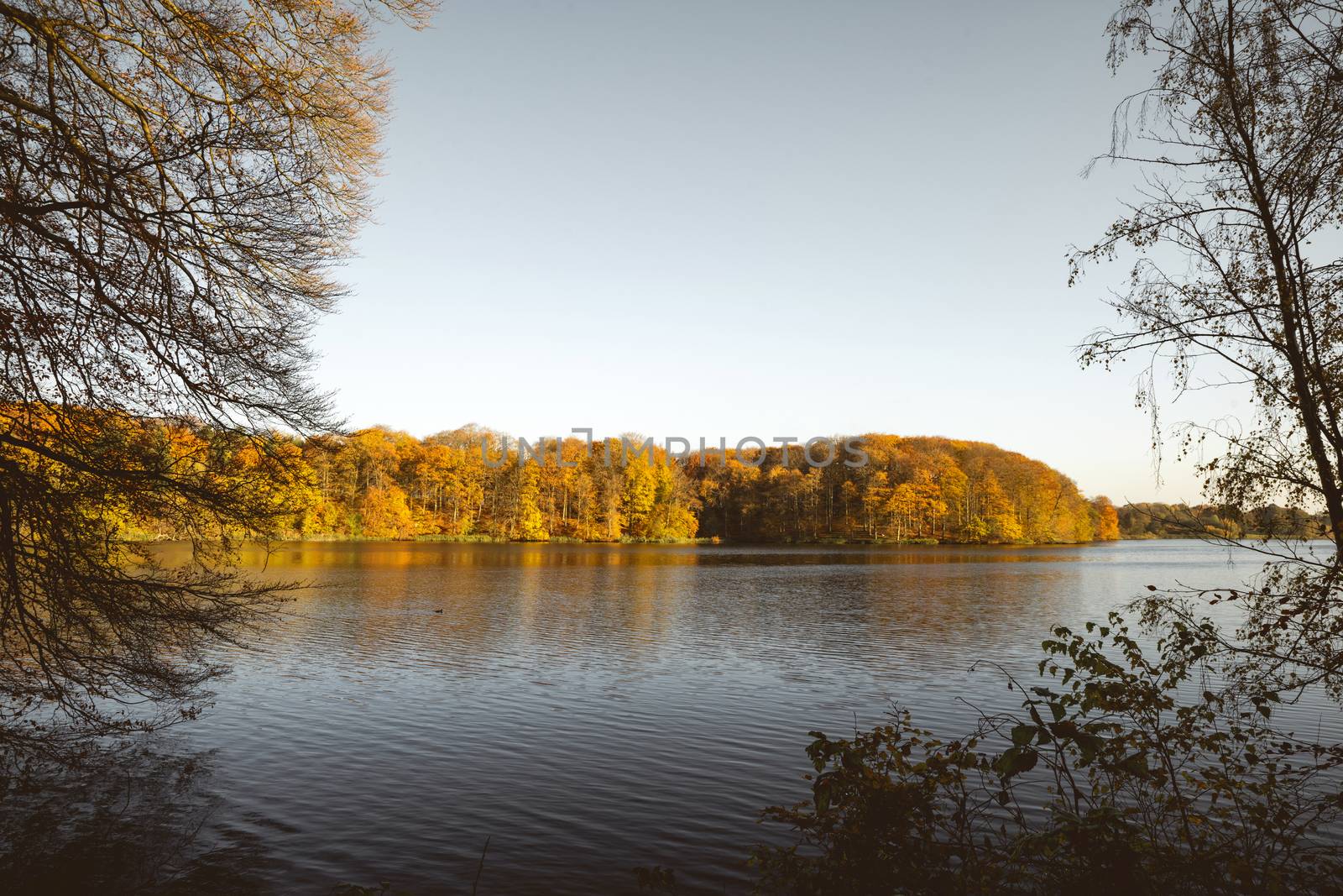 Lake in the fall surrounded by trees by Sportactive