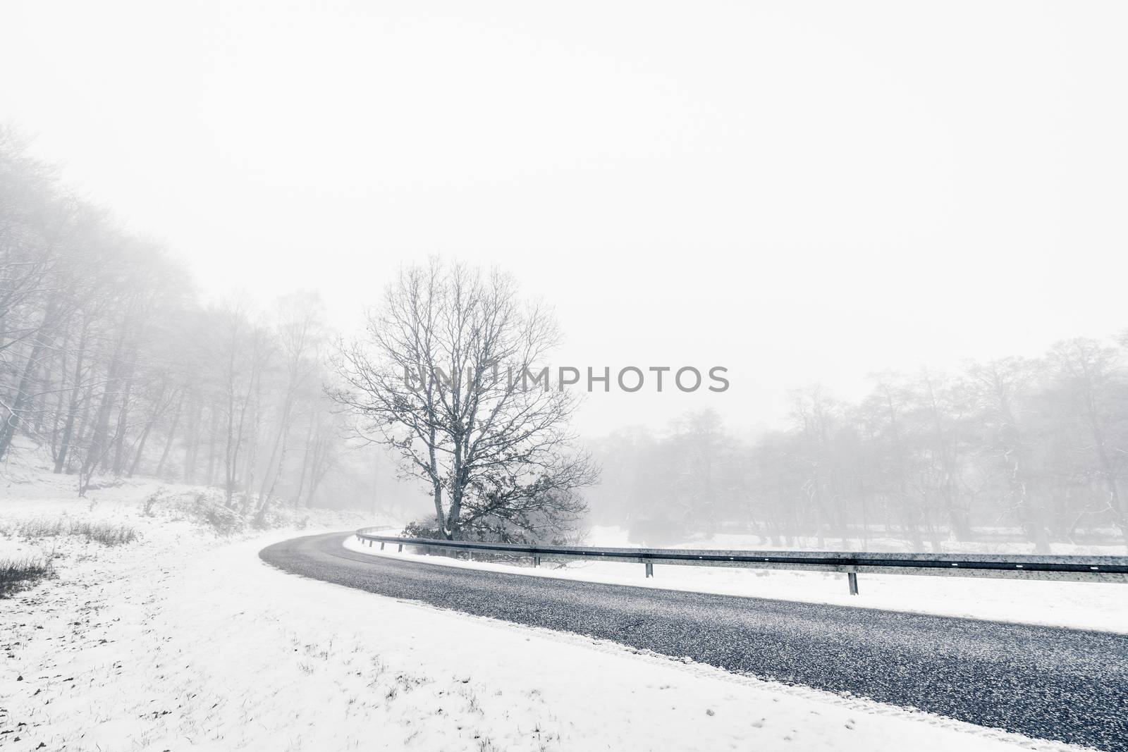 Curvy highway in a misty winter landscape by Sportactive