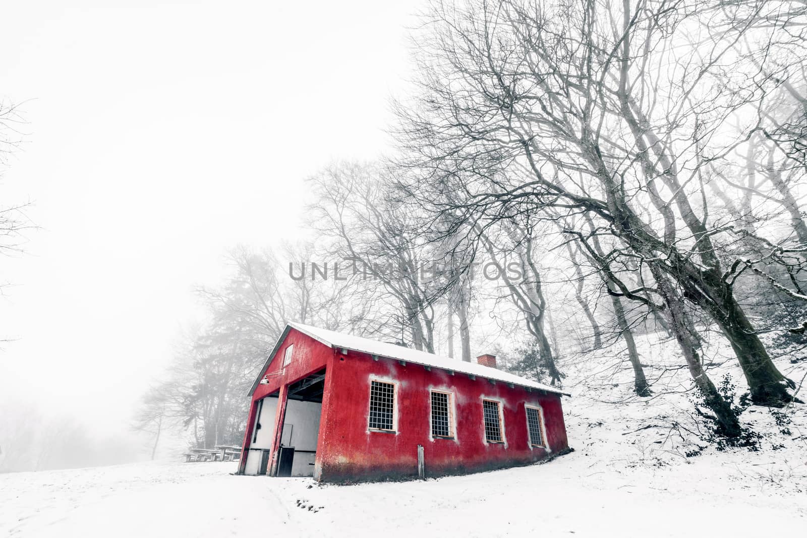 Red barn in a misty winter landscape  by Sportactive