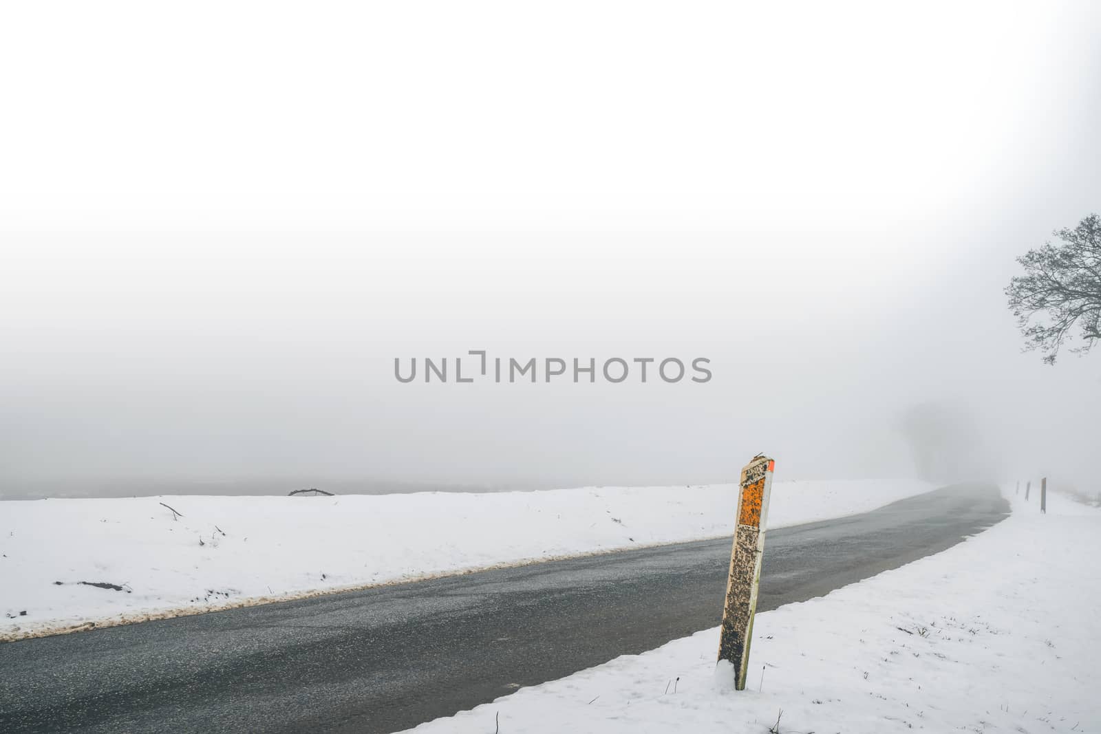 Marker post by a misty road in the winter by Sportactive