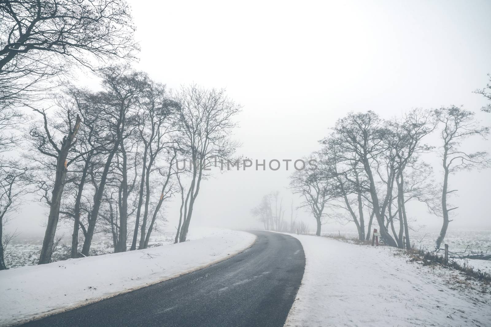 Highway curvy road in a misty winter scenery by Sportactive