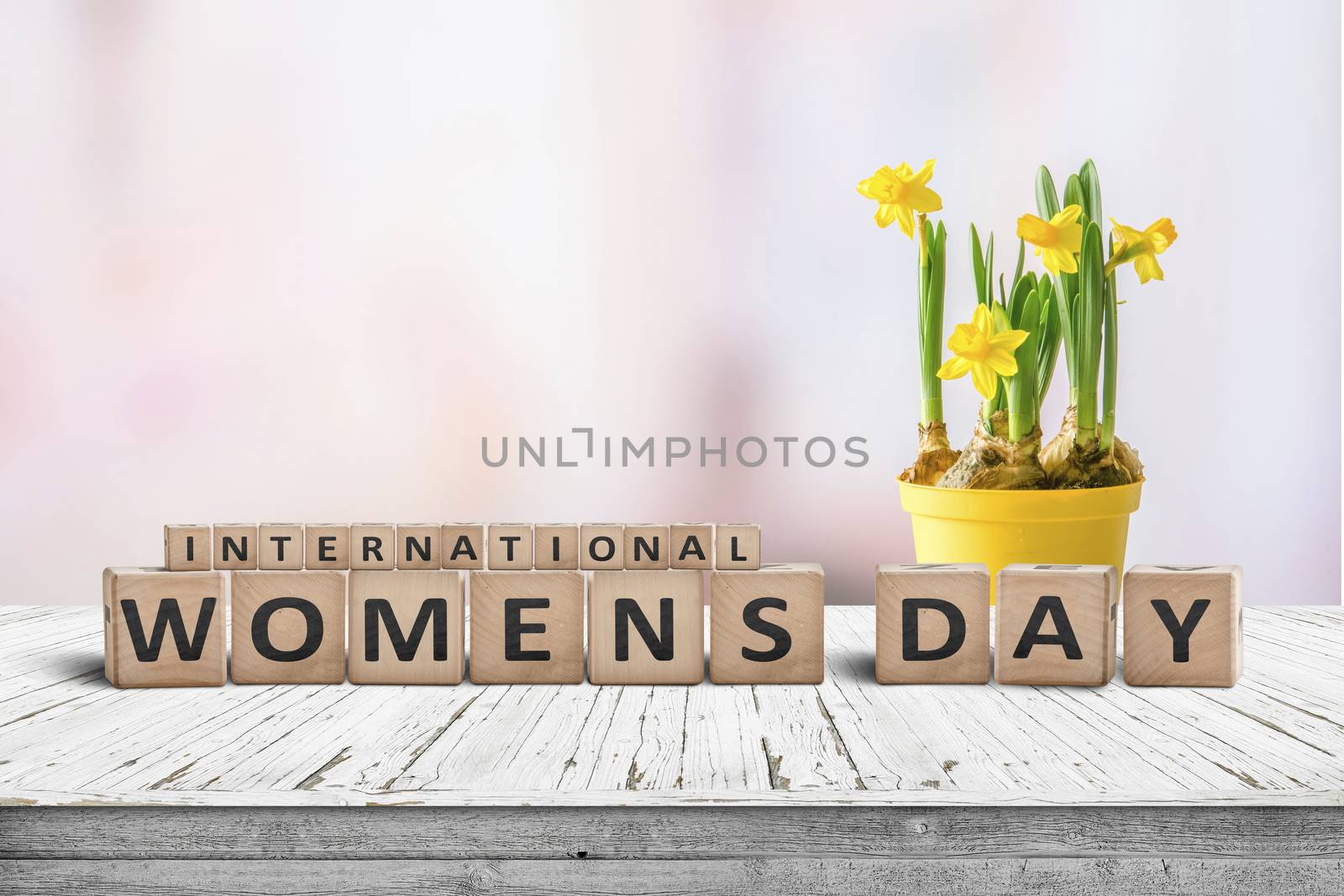 International Womens day sign with a yellow daffodil flower on a wooden desk with a pink background